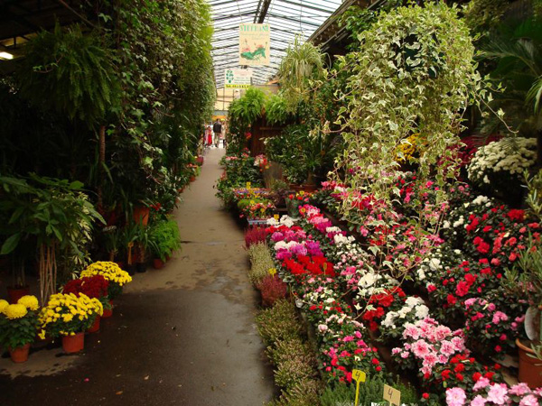 marche_aux_fleurs