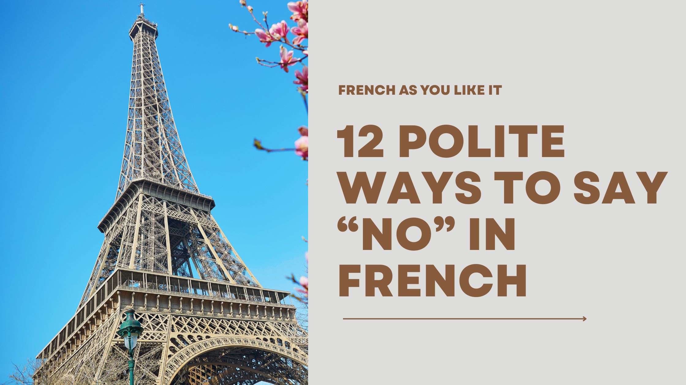 Polite Ways to Say No in French